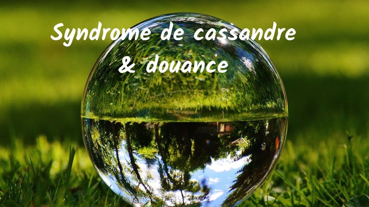 découvrez le syndrome de cassandre, un phénomène psychologique fascinant où une personne, malgré des prédictions exactes, est ignorée par son entourage. explorez les impacts émotionnels et sociaux de ce syndrome sur les relations humaines et la communication.
