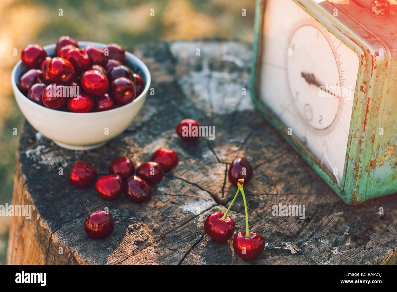 découvrez les savoureuses cerises qui émerveilleront vos papilles ! riches en saveurs, ces fruits juteux sont parfaits pour vos desserts, salades ou à déguster seuls. savourez le goût authentique des cerises et laissez-vous séduire par leur douceur et leur éclat !
