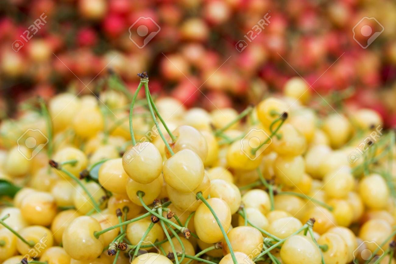 découvrez l'univers des savoureux cerises ! plongez dans une expérience gustative unique en savourant des cerises juteuses et sucrées, idéales pour vos desserts, smoothies et plus encore. laissez-vous séduire par leur saveur inoubliable et leur qualité exceptionnelle.