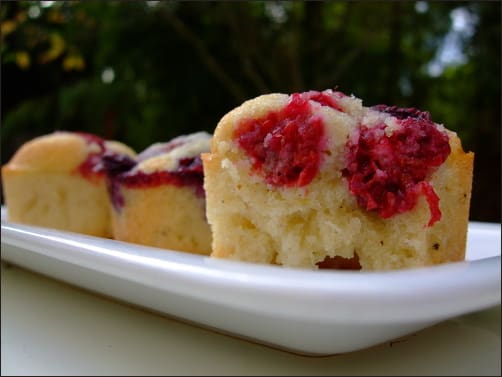 découvrez notre délicieuse tarte financière aux fruits rouges, un dessert irrésistible qui allie la douceur des fruits frais à la richesse de la pâte financière. parfaite pour vos occasions spéciales ou un goûter gourmand, cette tarte émerveillera vos papilles avec ses saveurs fruitées et sa texture fondante.