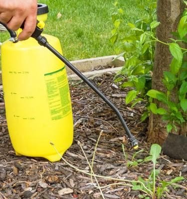 découvrez comment préparer et utiliser la bouillie au jardin pour protéger naturellement vos plantes contre les maladies et parasites. conseils, recettes et astuces pour un jardin sain toute l’année.