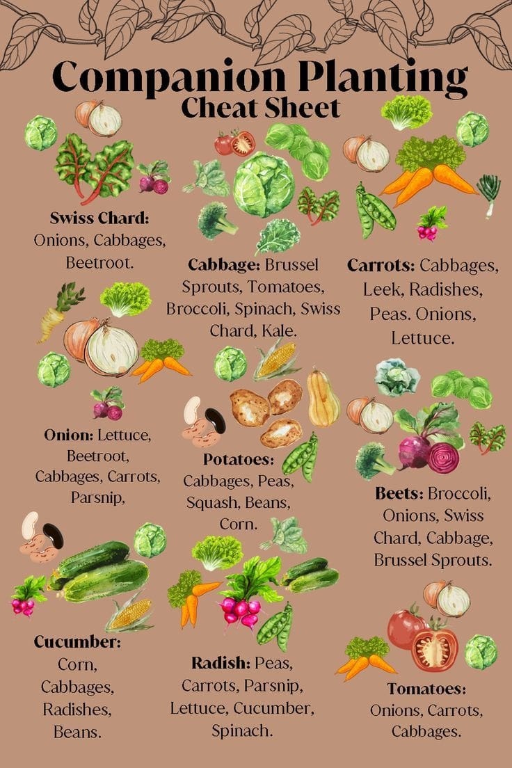 découvrez notre guide de recettes 'grow a garden' : apprenez à cultiver vos propres ingrédients et réalisez des plats sains, savoureux et faits maison grâce à des conseils pratiques pour tous les jardiniers et gourmets.
