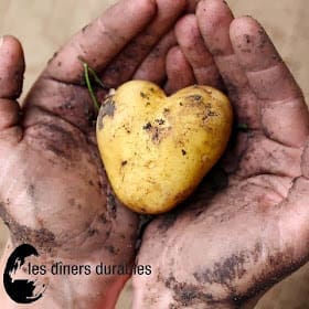 découvrez nos idées et recettes pour des dîners savoureux et faciles chaque lundi. simplifiez vos soirées du début de semaine avec des plats rapides et gourmands !