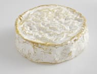 découvrez la casse coulommiers, un délicieux fromage français à pâte molle et croûte fleurie, apprécié pour sa douceur et sa texture fondante. idéal pour les amateurs de fromages authentiques !