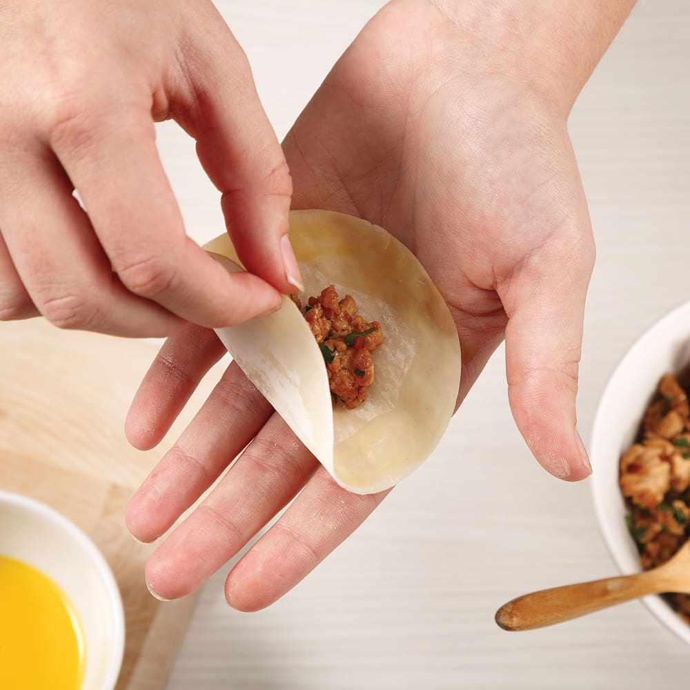 découvrez notre recette facile de poulet dumplings : de délicieuses bouchées farcies au poulet, tendres et savoureuses, parfaites pour un repas convivial ou un apéritif gourmand. simple à réaliser et irrésistible !