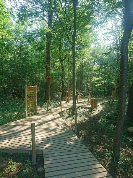 découvrez le zoo du bois d’attilly en 2025 : de nouvelles aventures et plus de 300 animaux à observer en famille près de paris. réservez votre visite et profitez d’activités inédites tout au long de l’année !