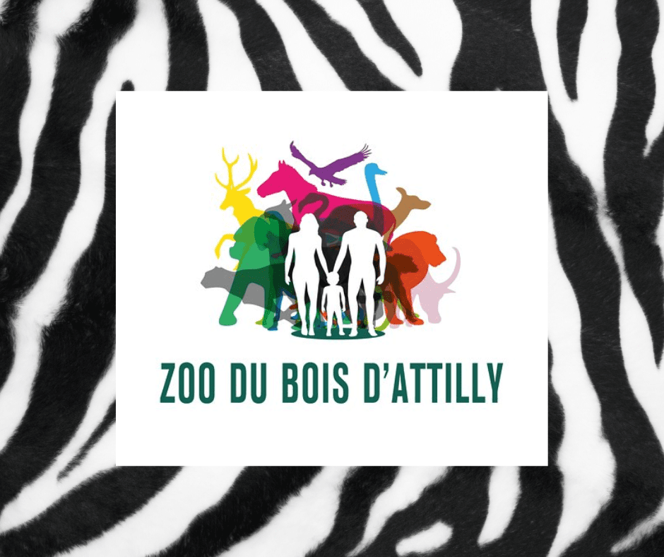 découvrez le zoo du bois d'attilly en 2025 : une expérience inoubliable pour toute la famille avec plus de 300 animaux, des espaces naturels préservés et de nombreuses animations. préparez votre visite et vivez une aventure au cœur de la nature près de paris !