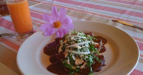 découvrez une recette saine et savoureuse de mole poblano, parfaite pour sublimer votre dinde ou poulet avec des ingrédients naturels et équilibrés.