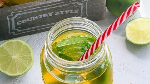 découvrez notre recette rafraîchissante de mocktail épicé au rooibos, une boisson sans alcool aux saveurs chaudes et aromatiques, idéale pour toutes les occasions.