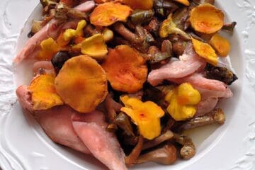 découvrez notre délicieuse paupiette de pintade bio garnie de châtaignes et chanterelles, une recette savoureuse alliant tradition et saveurs naturelles.