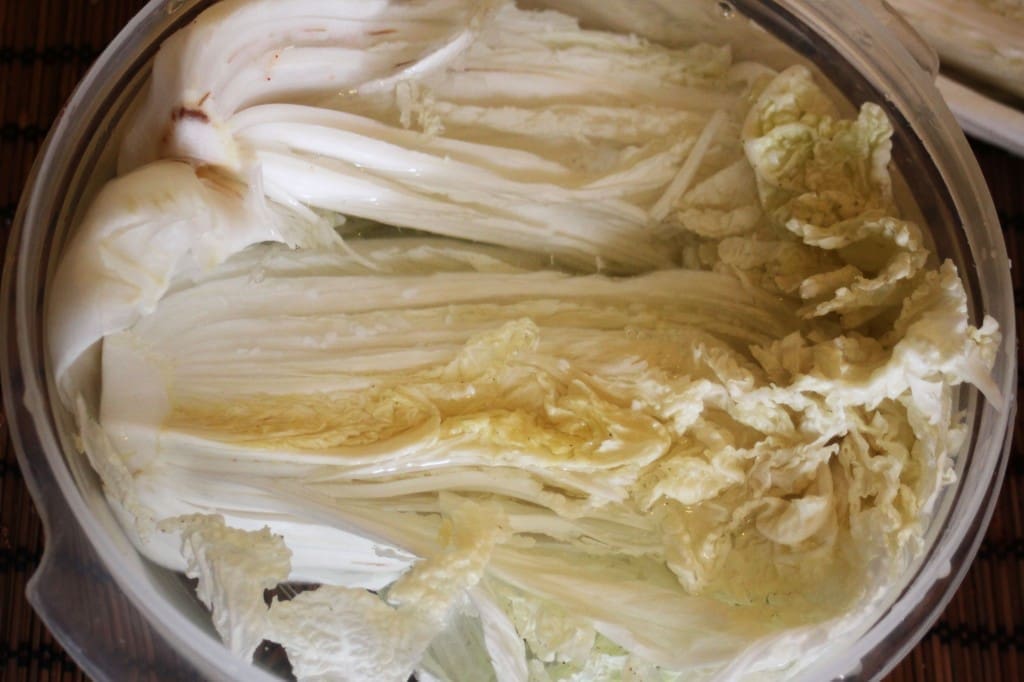 découvrez une recette ancestrale authentique pour la restauration, alliant tradition et saveurs d'autrefois, idéale pour sublimer vos plats.