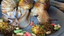 découvrez notre recette vidéo facile d'escargots au beurre de cresson, pour un plat savoureux et raffiné à réaliser chez vous.