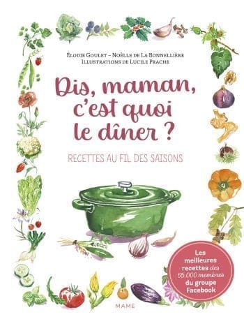découvrez des recettes familiales savoureuses et équilibrées pour rester en forme pendant les fêtes tout en partageant des moments gourmands.