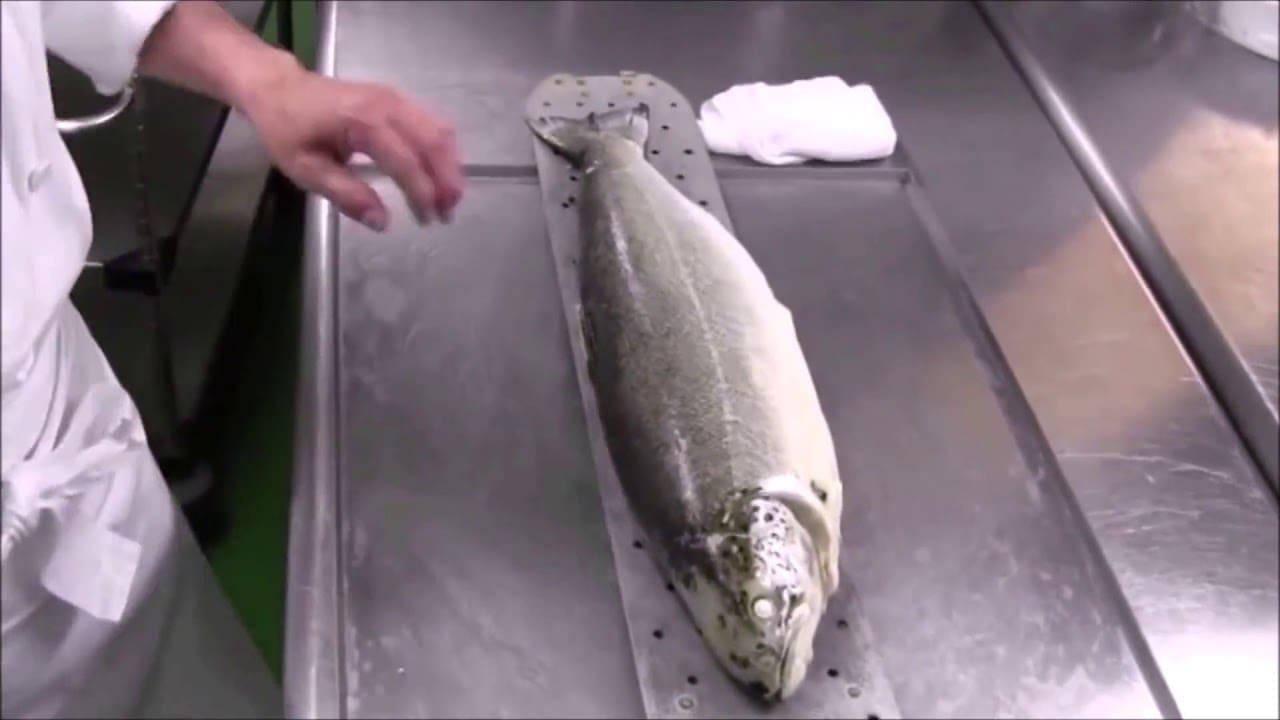 découvrez notre recette vidéo de la truite bellevue, facile à réaliser et savoureuse, pour régaler toute la famille.