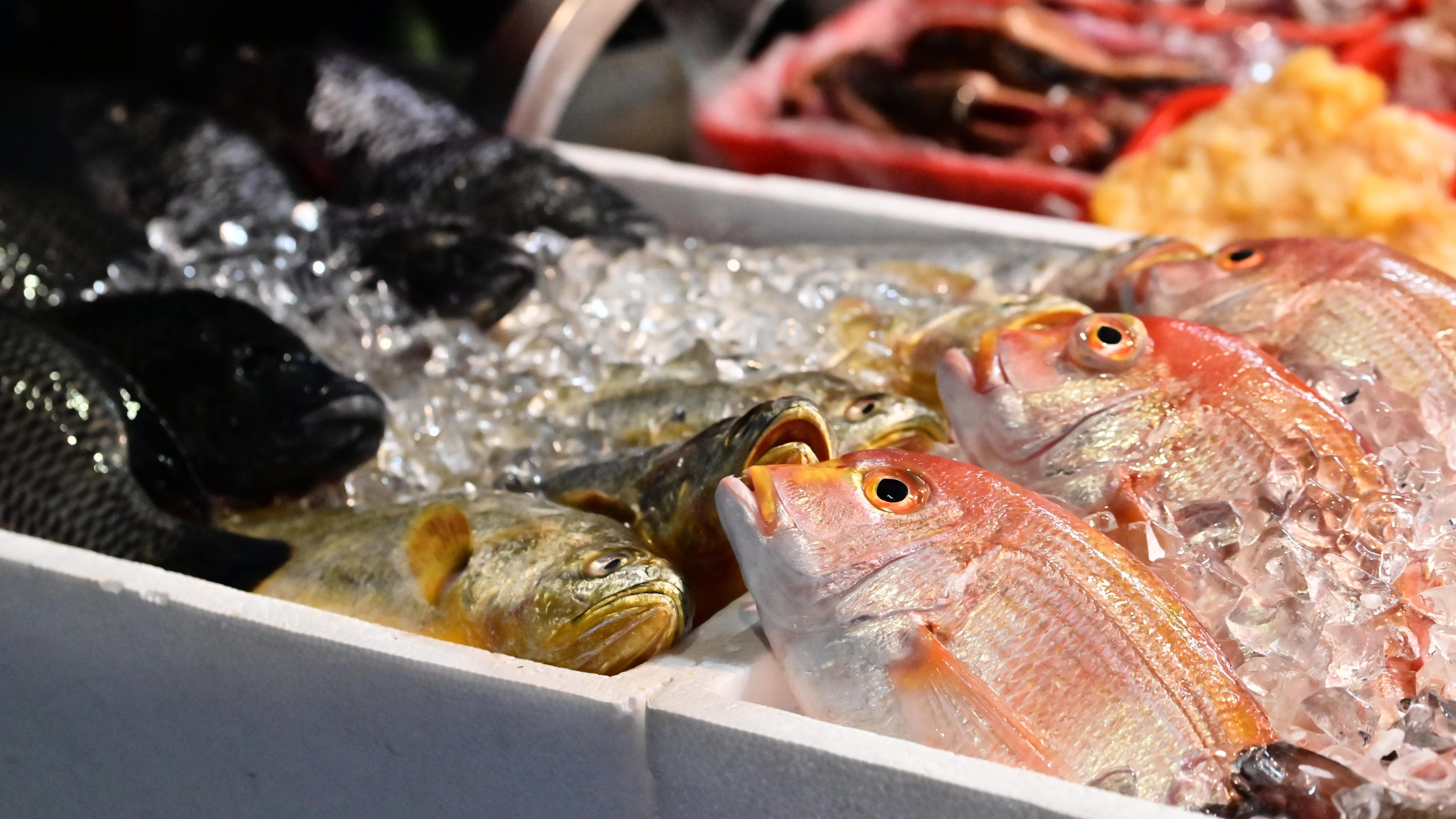découvrez les astuces de laurent mariotte pour acheter du poisson à moitié prix et cuisiner des plats savoureux tout en faisant des économies.