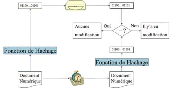 découvrez la définition et les usages numériques du terme 'hachek', un symbole essentiel en informatique et en linguistique.