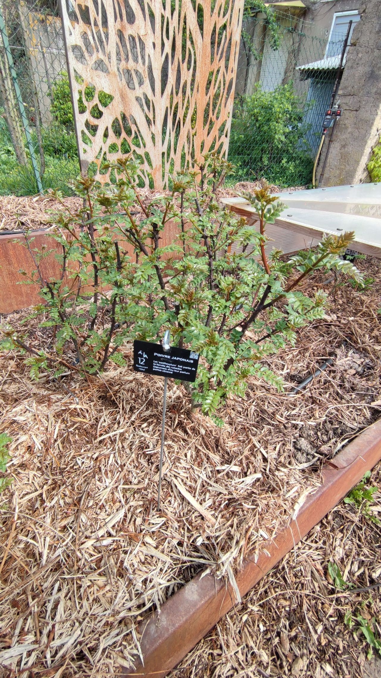 découvrez « le jardin de thomas : formule triomphante nationale », une aventure exceptionnelle alliant nature et excellence pour un succès garanti.