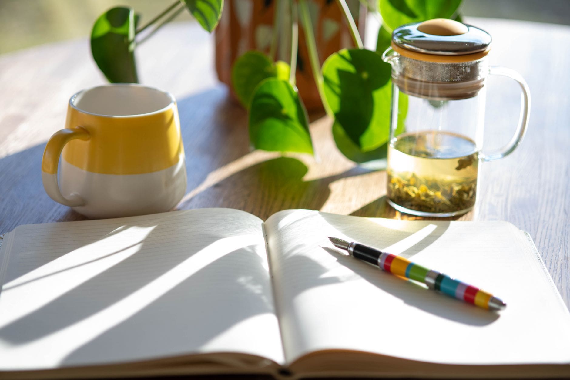 tasse thé carnet plantes