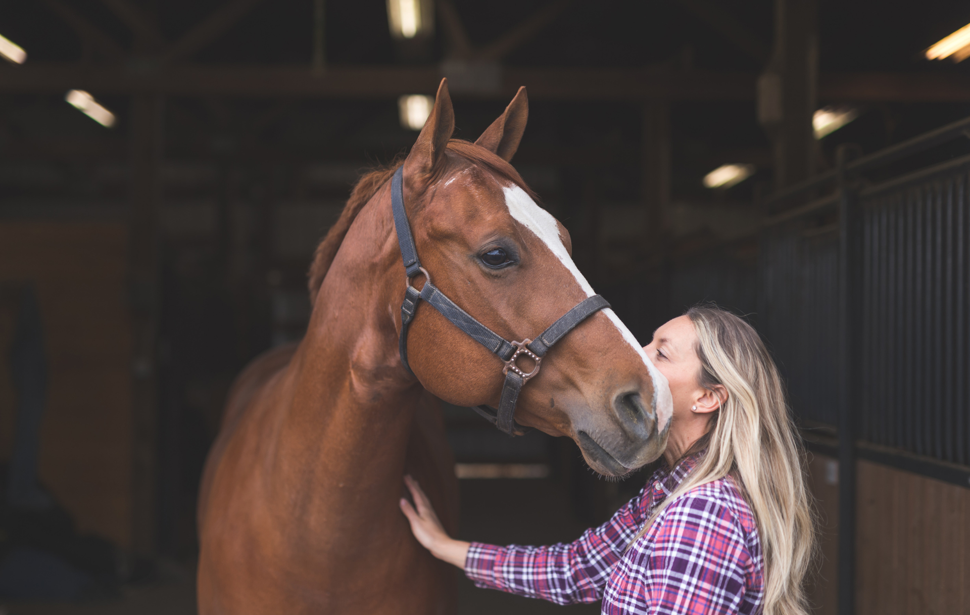 produits naturels entretien cheval